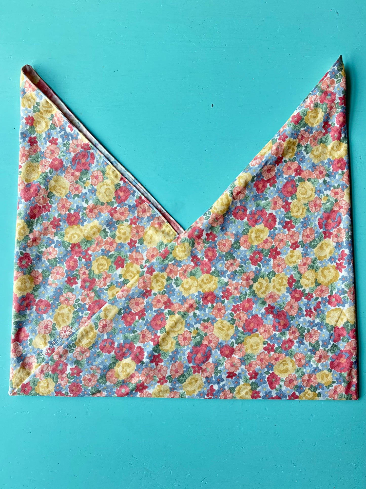 Bento bag